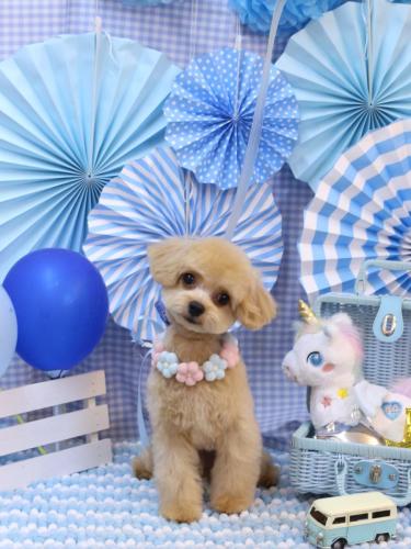 20231114チップくん